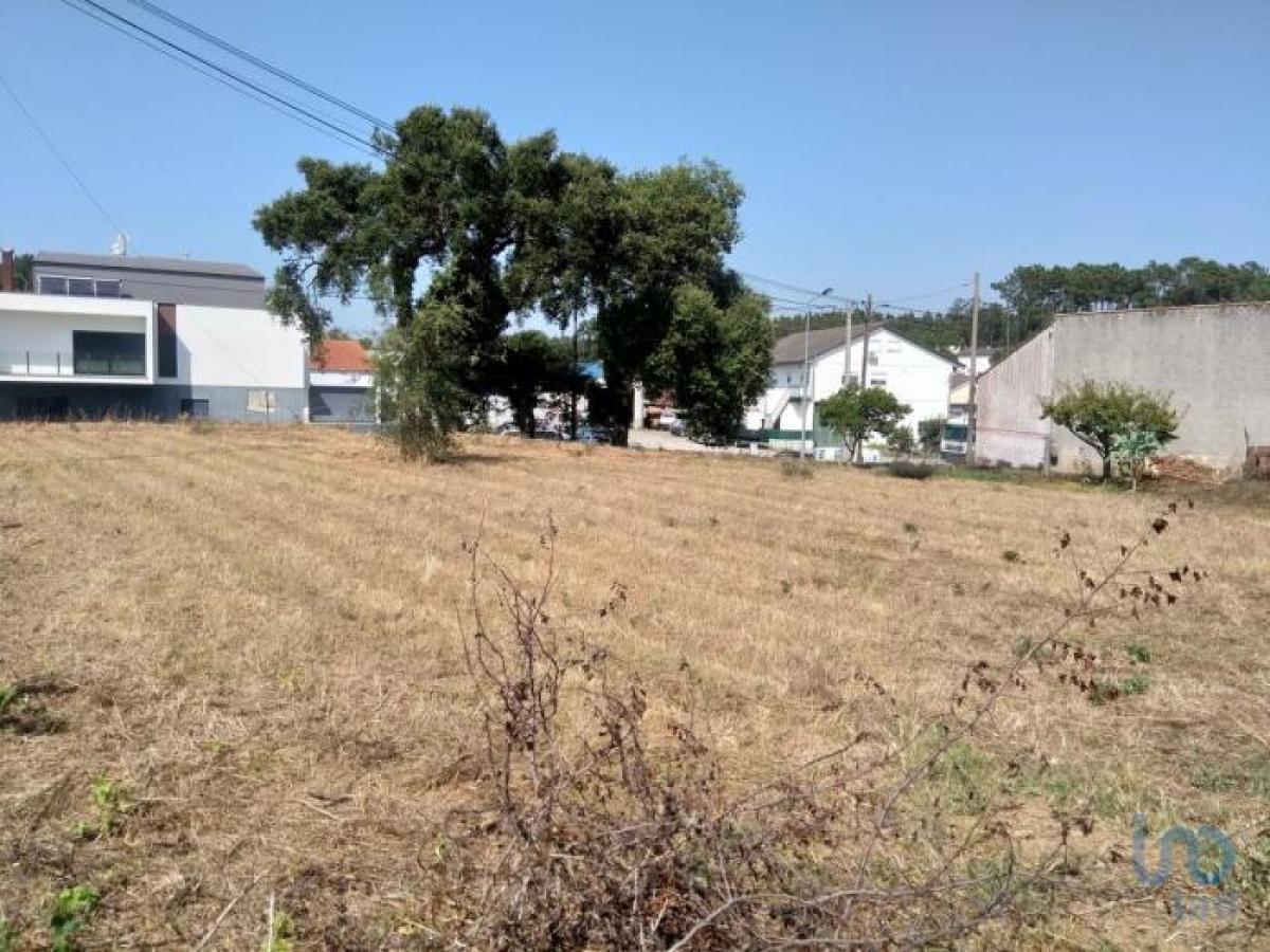 Picture of Residential Land For Sale in Leiria, Beira, Portugal