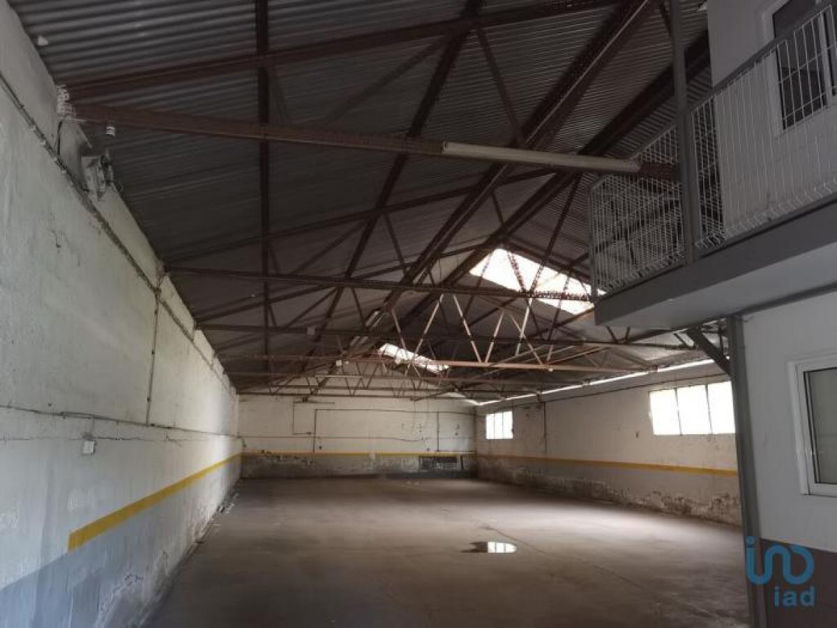 Picture of Retail For Sale in Funchal, Madeira, Portugal