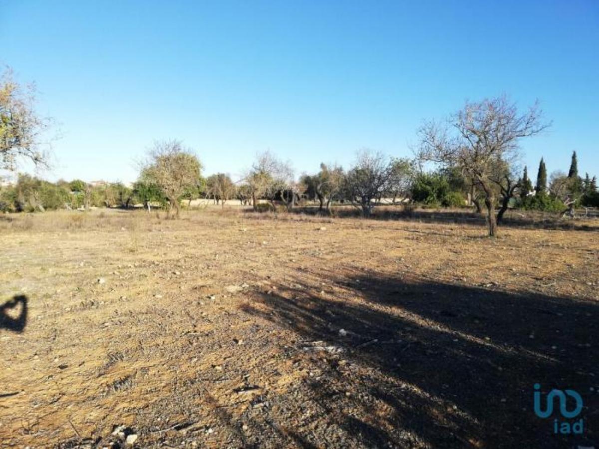 Picture of Residential Land For Sale in Olhao, Faro, Portugal