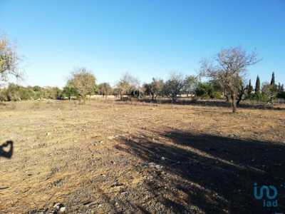 Residential Land For Sale in 
