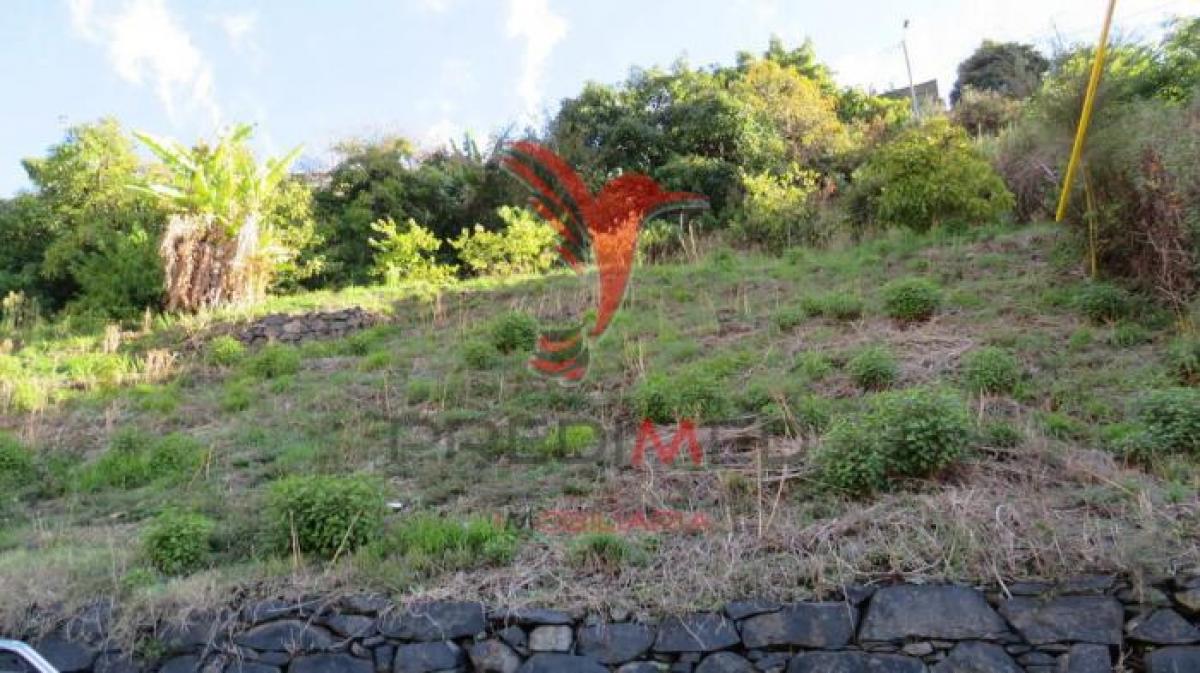 Picture of Residential Land For Sale in Funchal, Madeira, Portugal