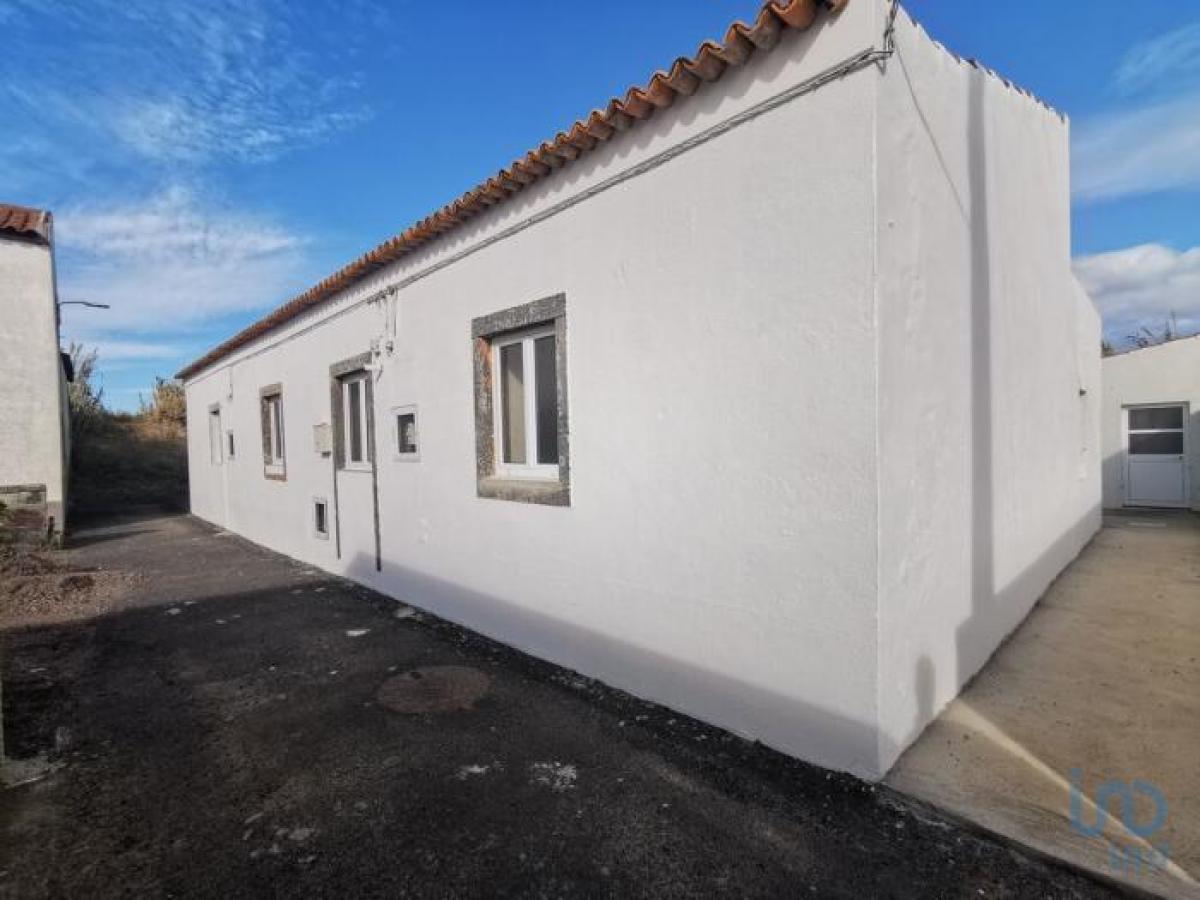 Picture of Home For Sale in Ponta Delgada, Madeira, Portugal