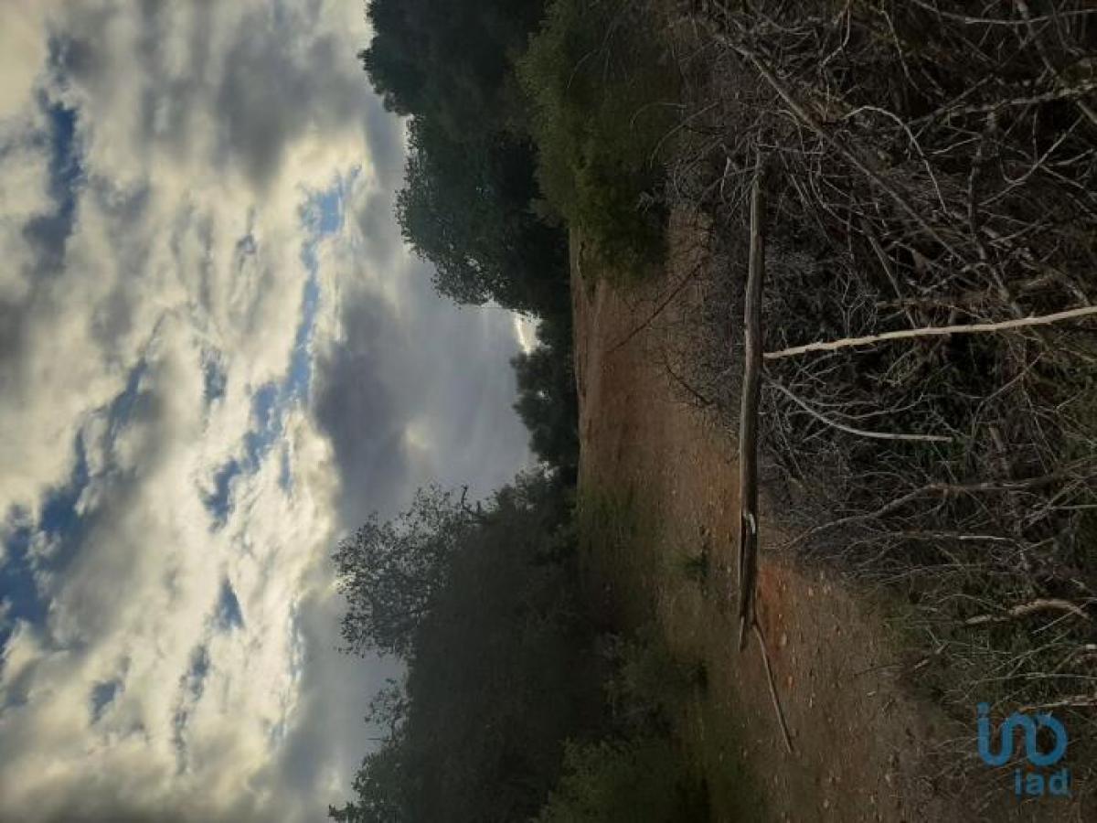 Picture of Residential Land For Sale in Olhao, Faro, Portugal