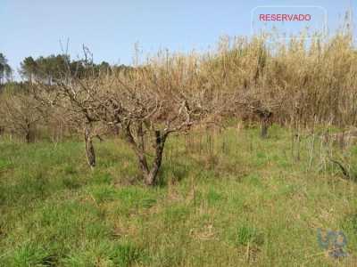 Residential Land For Sale in