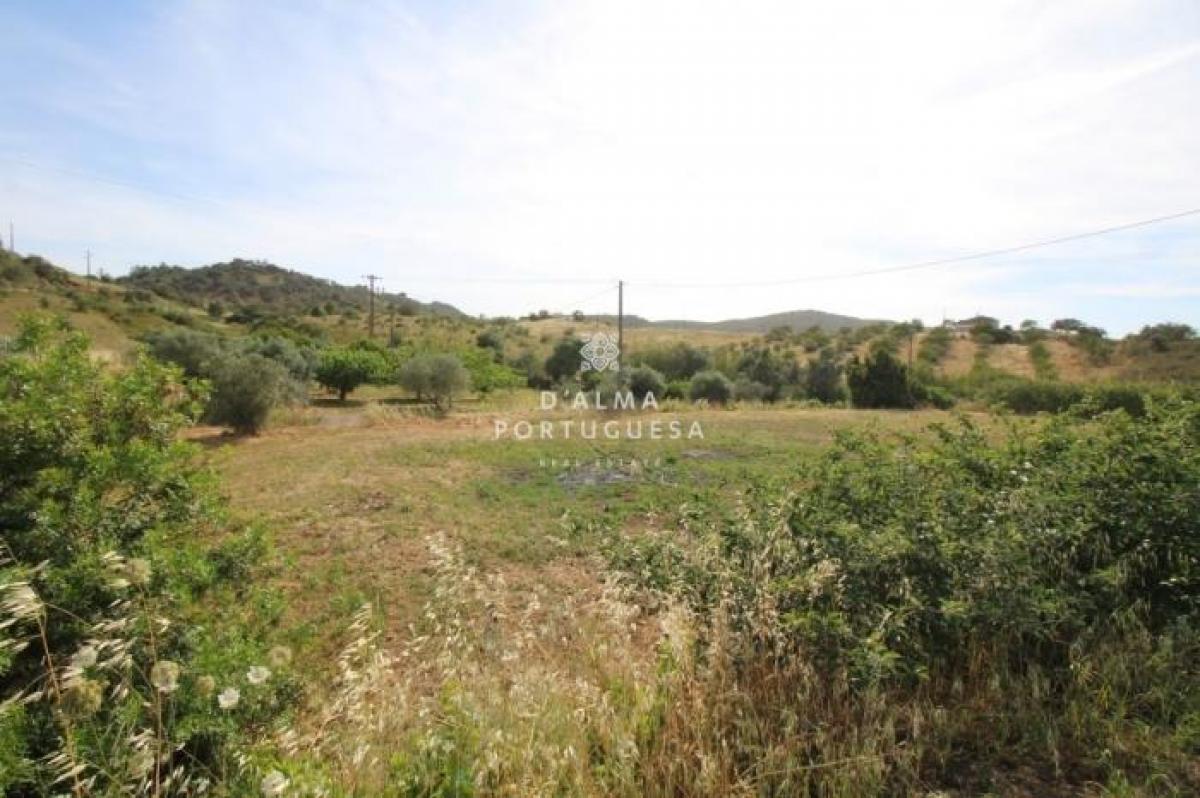 Picture of Residential Land For Sale in Silves, Algarve, Portugal