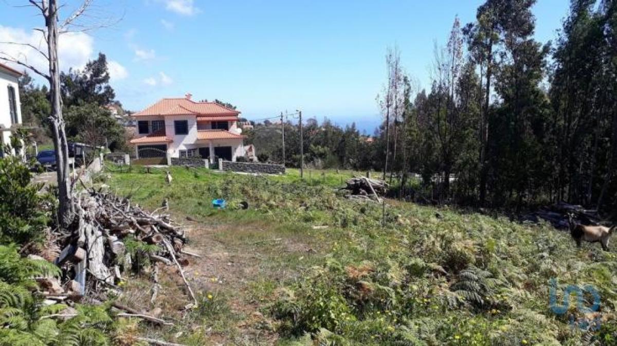 Picture of Residential Land For Sale in Santa Cruz, Madeira, Portugal