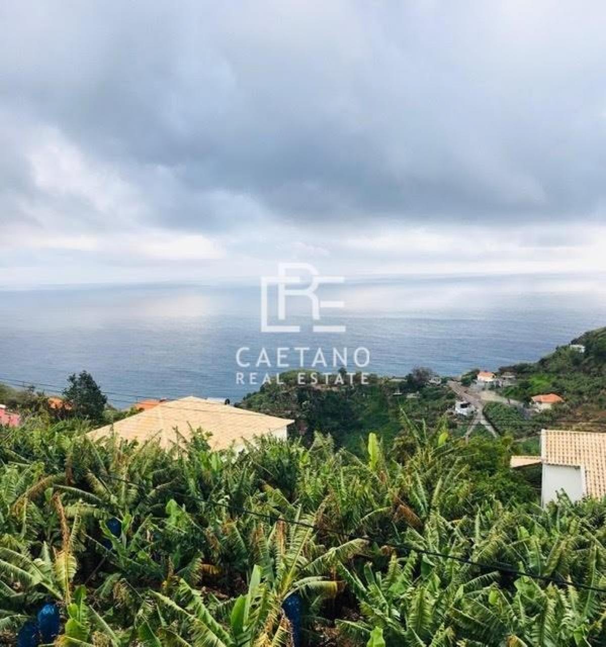 Picture of Apartment For Rent in Ponta do Sol, Madeira, Portugal