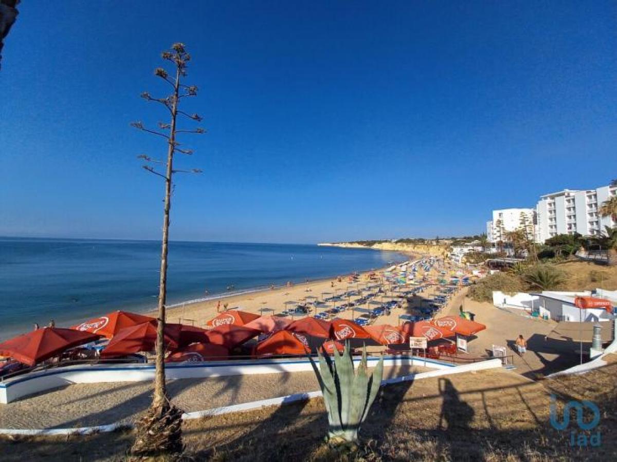 Picture of Apartment For Sale in Silves, Algarve, Portugal