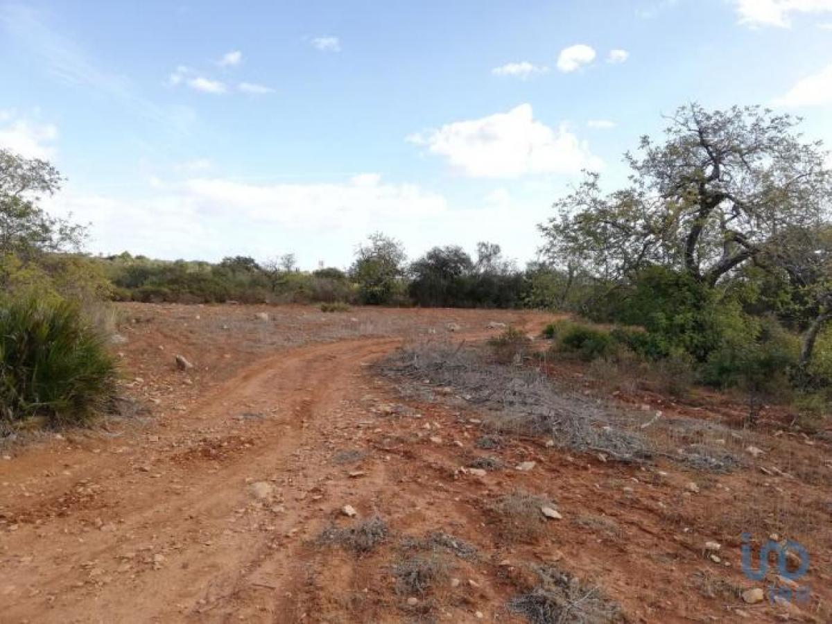 Picture of Residential Land For Sale in Olhao, Faro, Portugal
