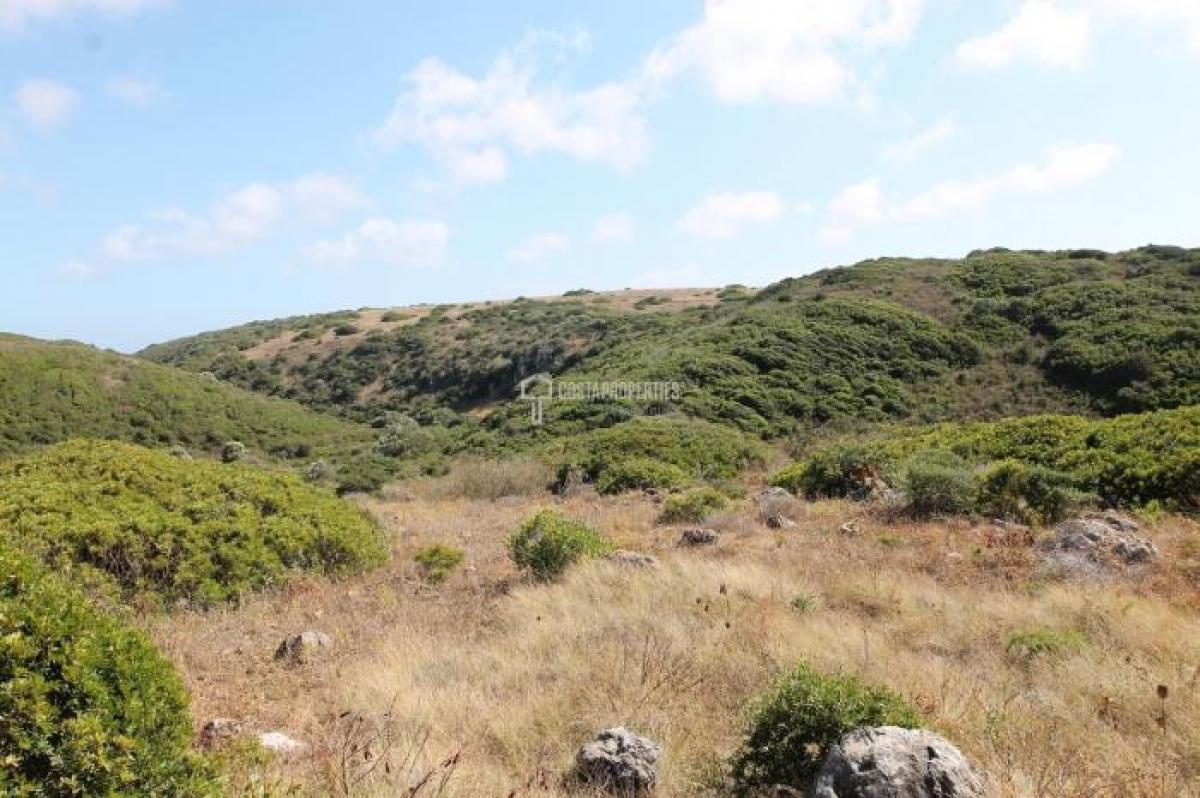 Picture of Residential Land For Sale in Vila Do Bispo, Algarve, Portugal