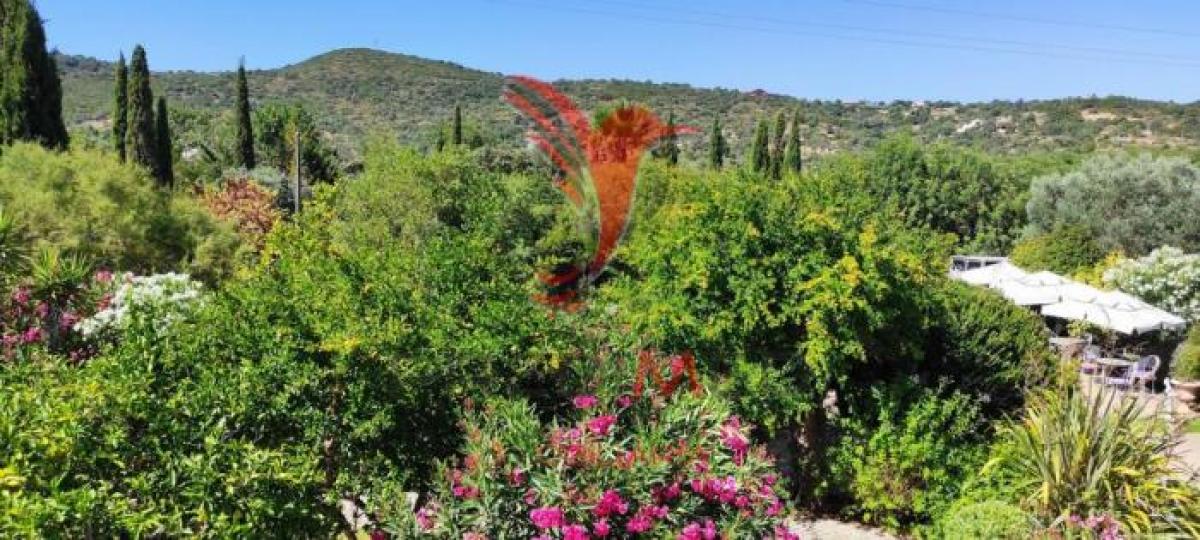 Picture of Home For Rent in Faro, Algarve, Portugal