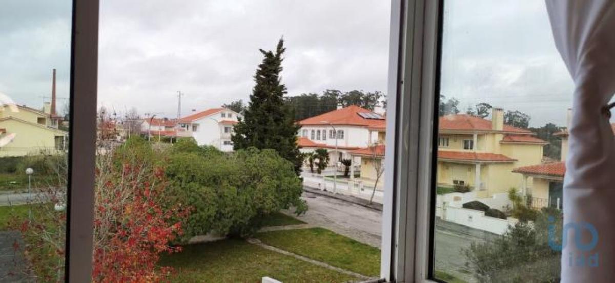 Picture of Apartment For Rent in Leiria, Beira, Portugal