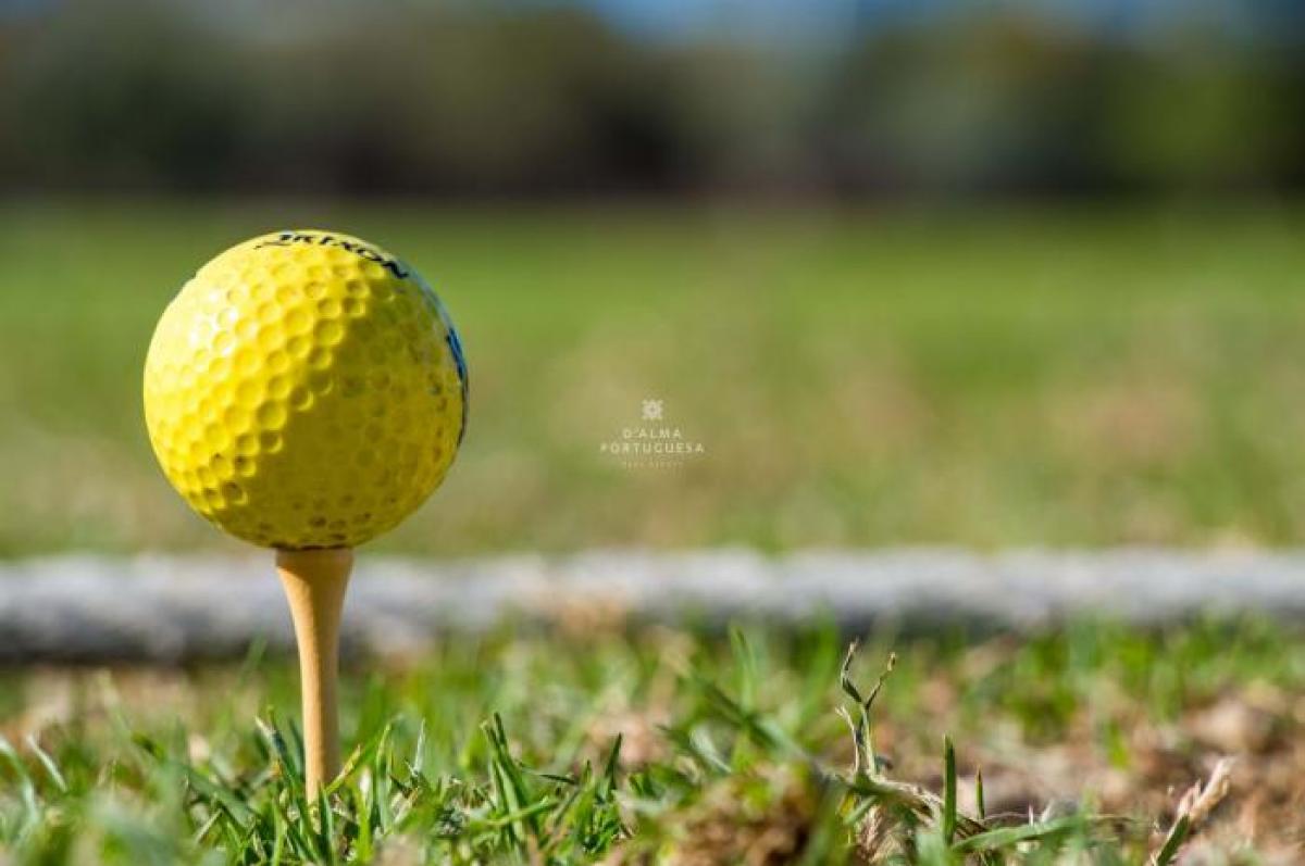 Picture of Apartment For Rent in Albufeira, Algarve, Portugal