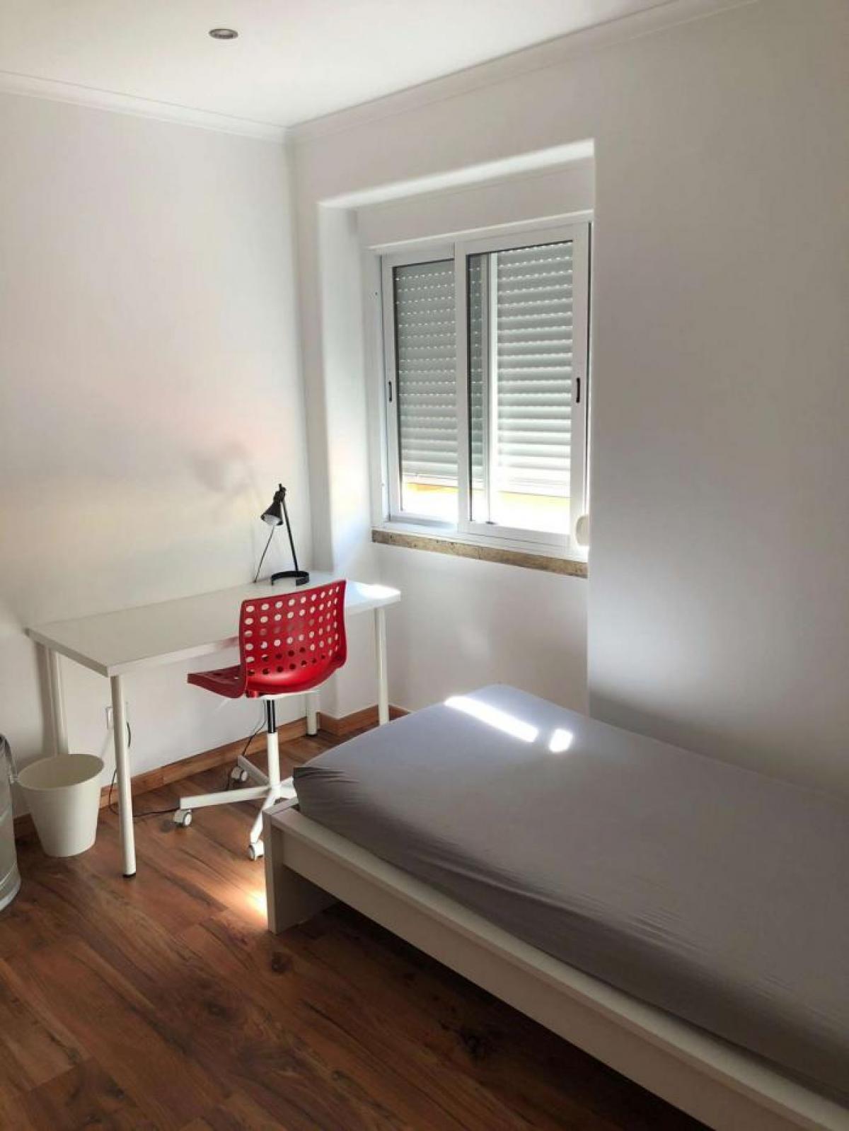 Picture of Apartment For Rent in Lisbon, Estremadura, Portugal