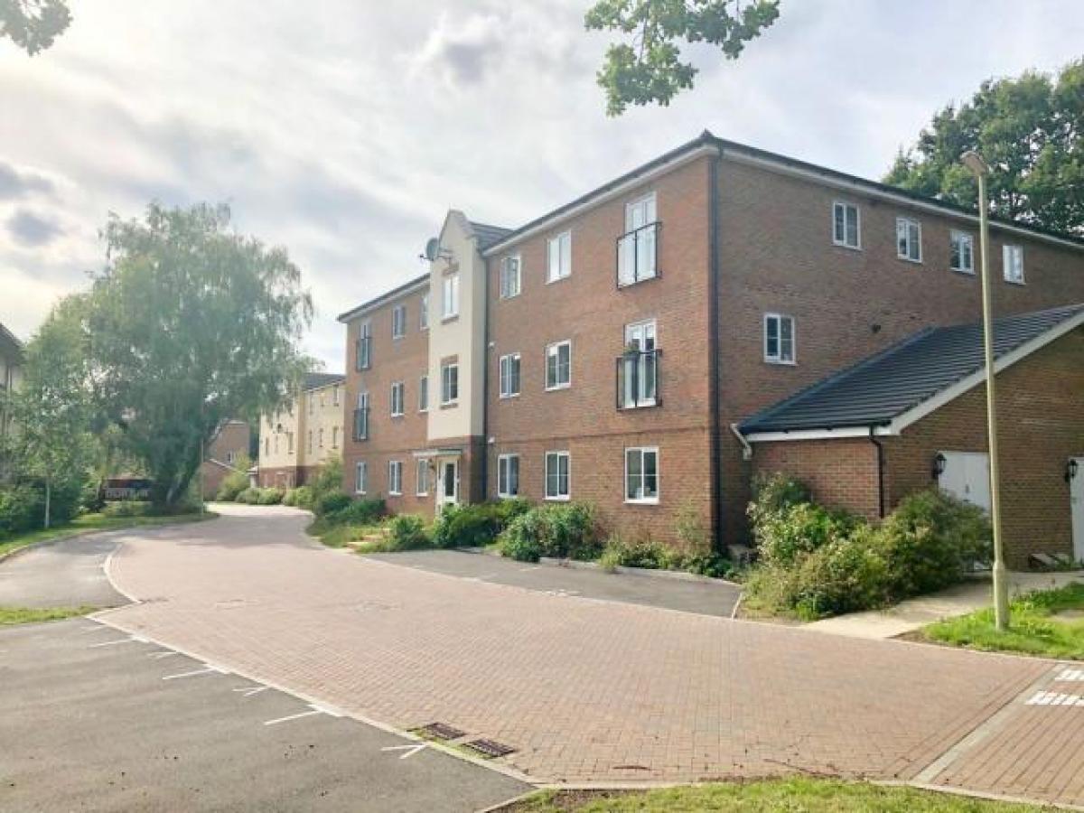 Picture of Apartment For Rent in Southampton, Hampshire, United Kingdom