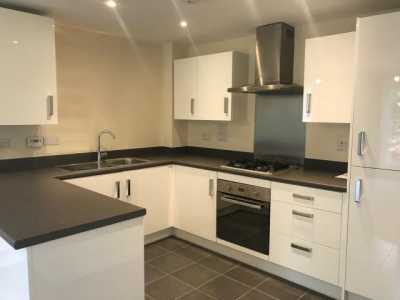 Apartment For Rent in 