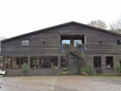 Apartment For Rent in 