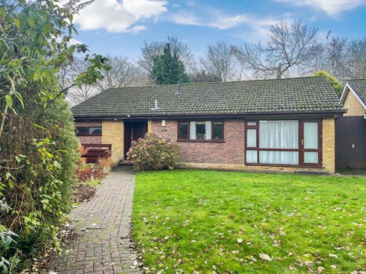 Picture of Bungalow For Rent in Beckenham, Greater London, United Kingdom