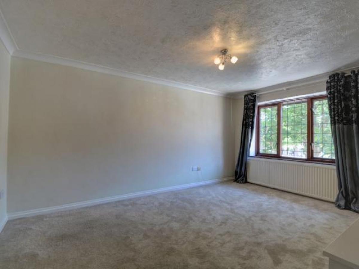 Picture of Apartment For Rent in Petersfield, Hampshire, United Kingdom