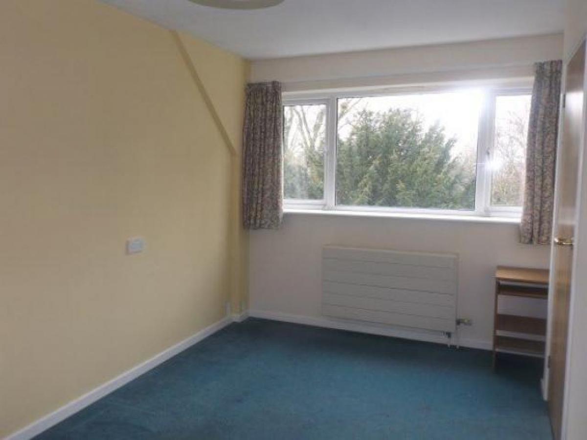 Picture of Apartment For Rent in Ipswich, Suffolk, United Kingdom