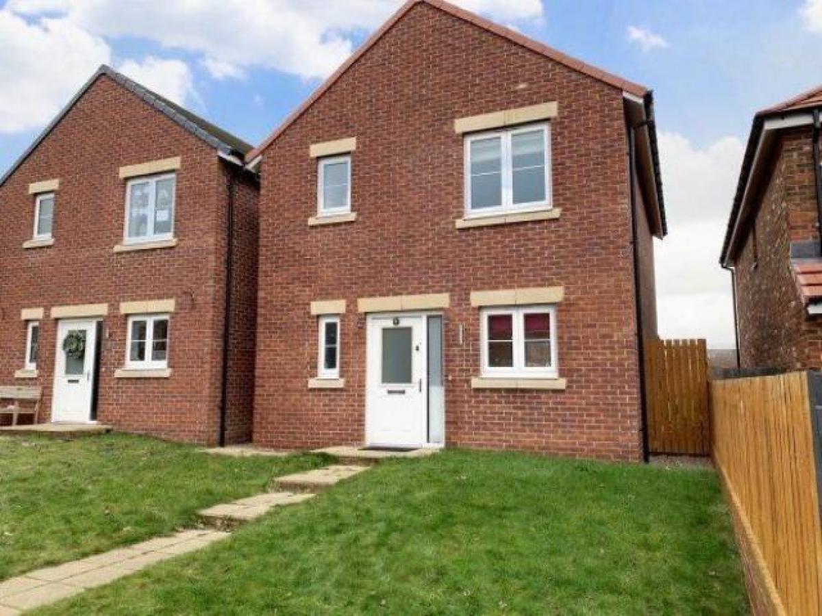 Picture of Home For Rent in Wallsend, Tyne and Wear, United Kingdom