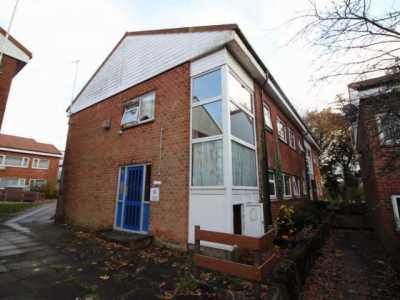 Apartment For Rent in 