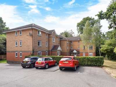 Apartment For Rent in Crowthorne, United Kingdom