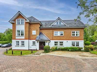 Apartment For Rent in Harpenden, United Kingdom
