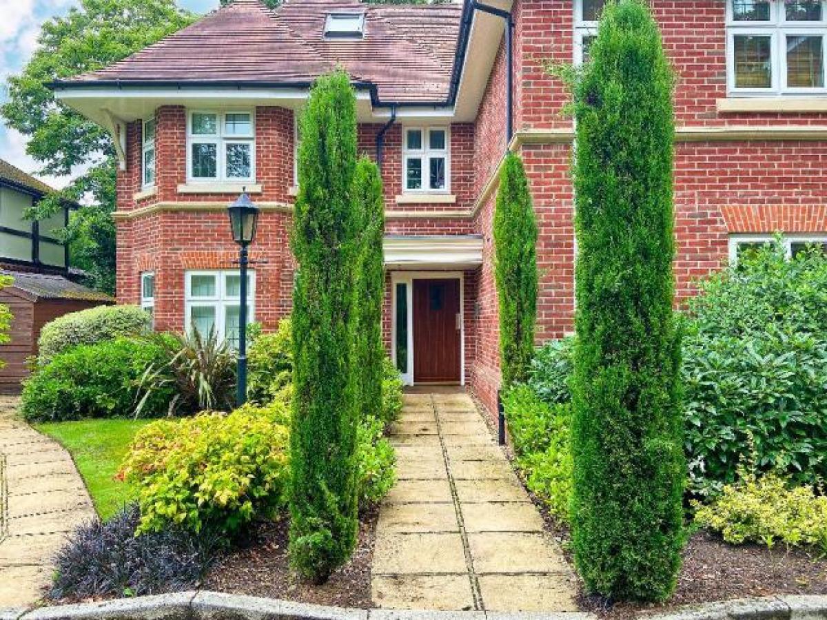 Picture of Apartment For Rent in Camberley, Surrey, United Kingdom