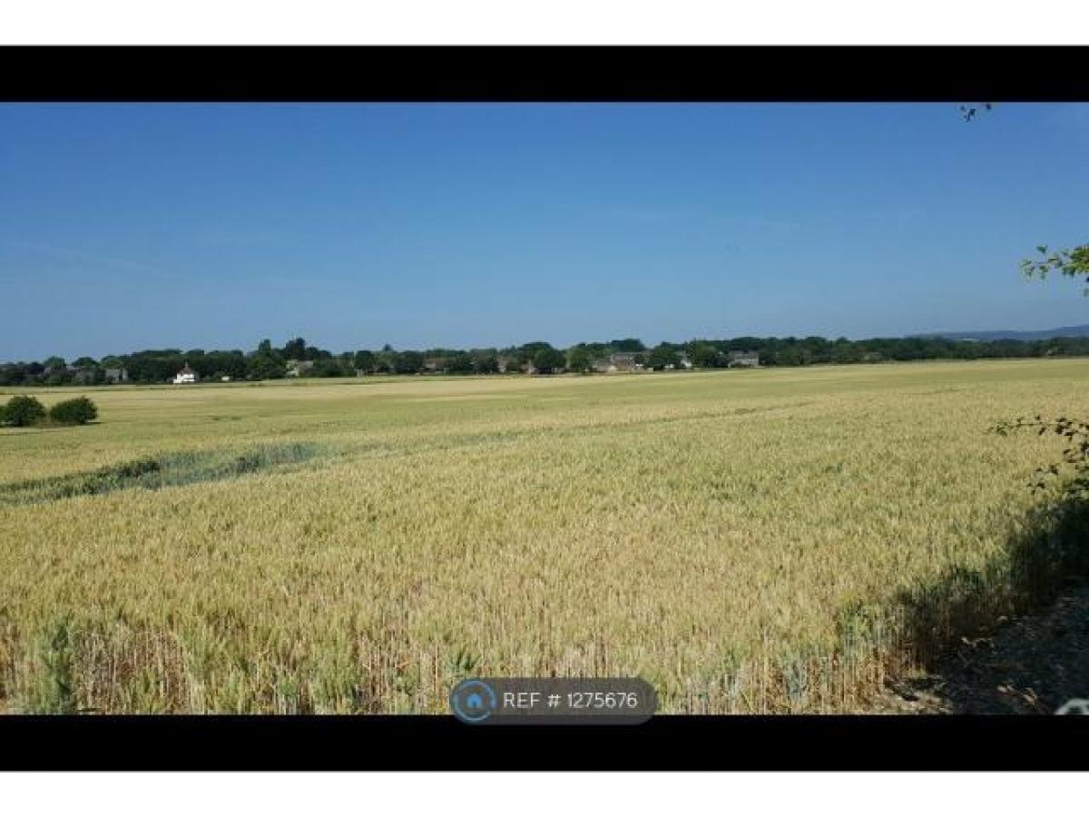 Picture of Home For Rent in Chichester, West Sussex, United Kingdom