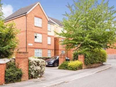 Apartment For Rent in 