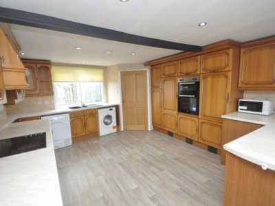 Apartment For Rent in Penryn, United Kingdom