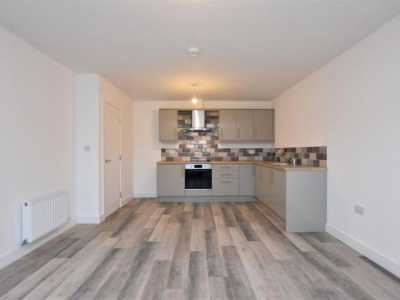 Apartment For Rent in 