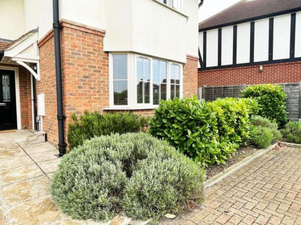 Picture of Apartment For Rent in Whitstable, Kent, United Kingdom