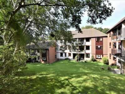 Apartment For Rent in