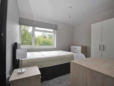 Apartment For Rent in Crawley, United Kingdom