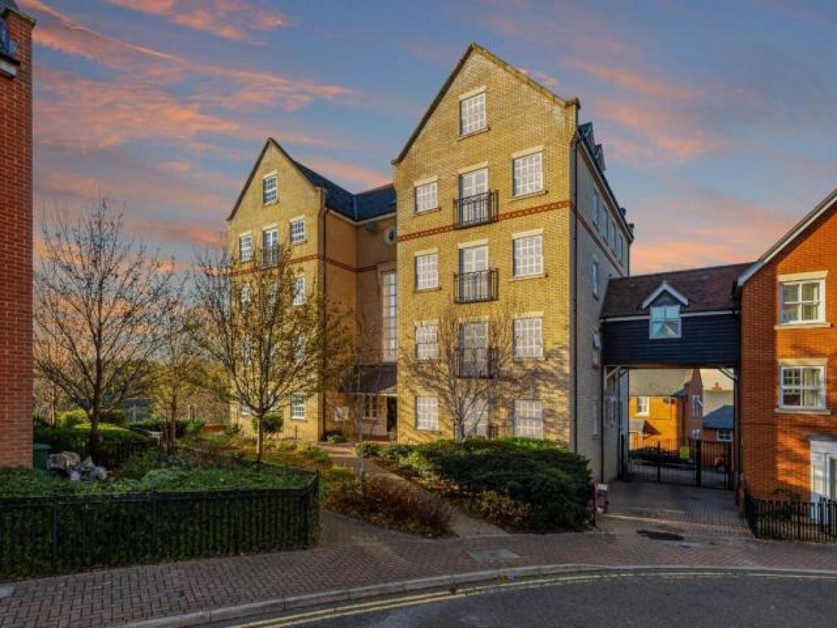 Picture of Apartment For Rent in Colchester, Essex, United Kingdom