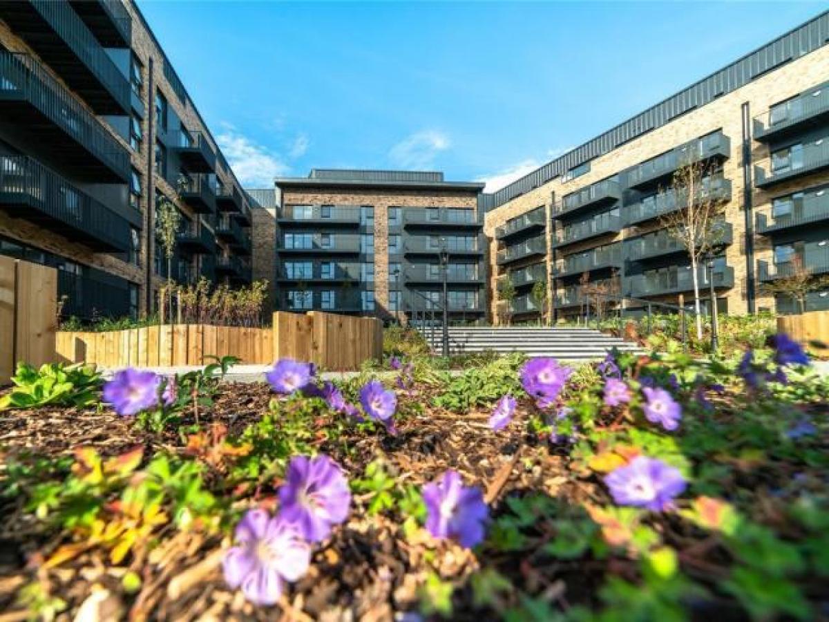 Picture of Apartment For Rent in Ashford, Kent, United Kingdom