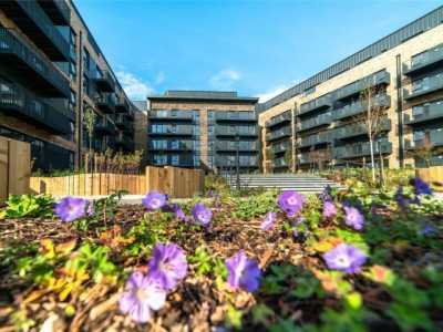 Apartment For Rent in Ashford, United Kingdom