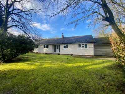 Bungalow For Rent in Bolton, United Kingdom