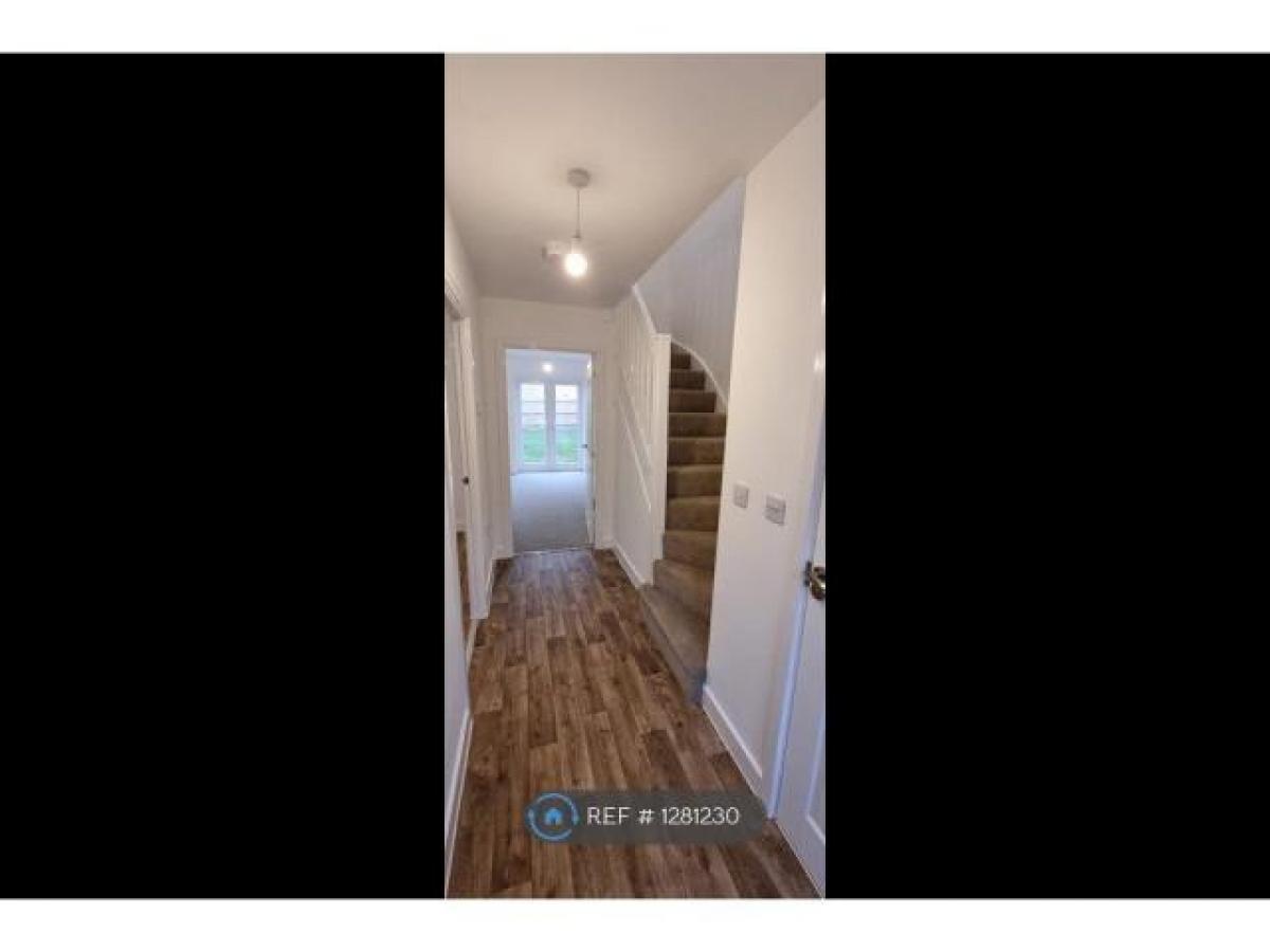 Picture of Home For Rent in Ely, Cambridgeshire, United Kingdom