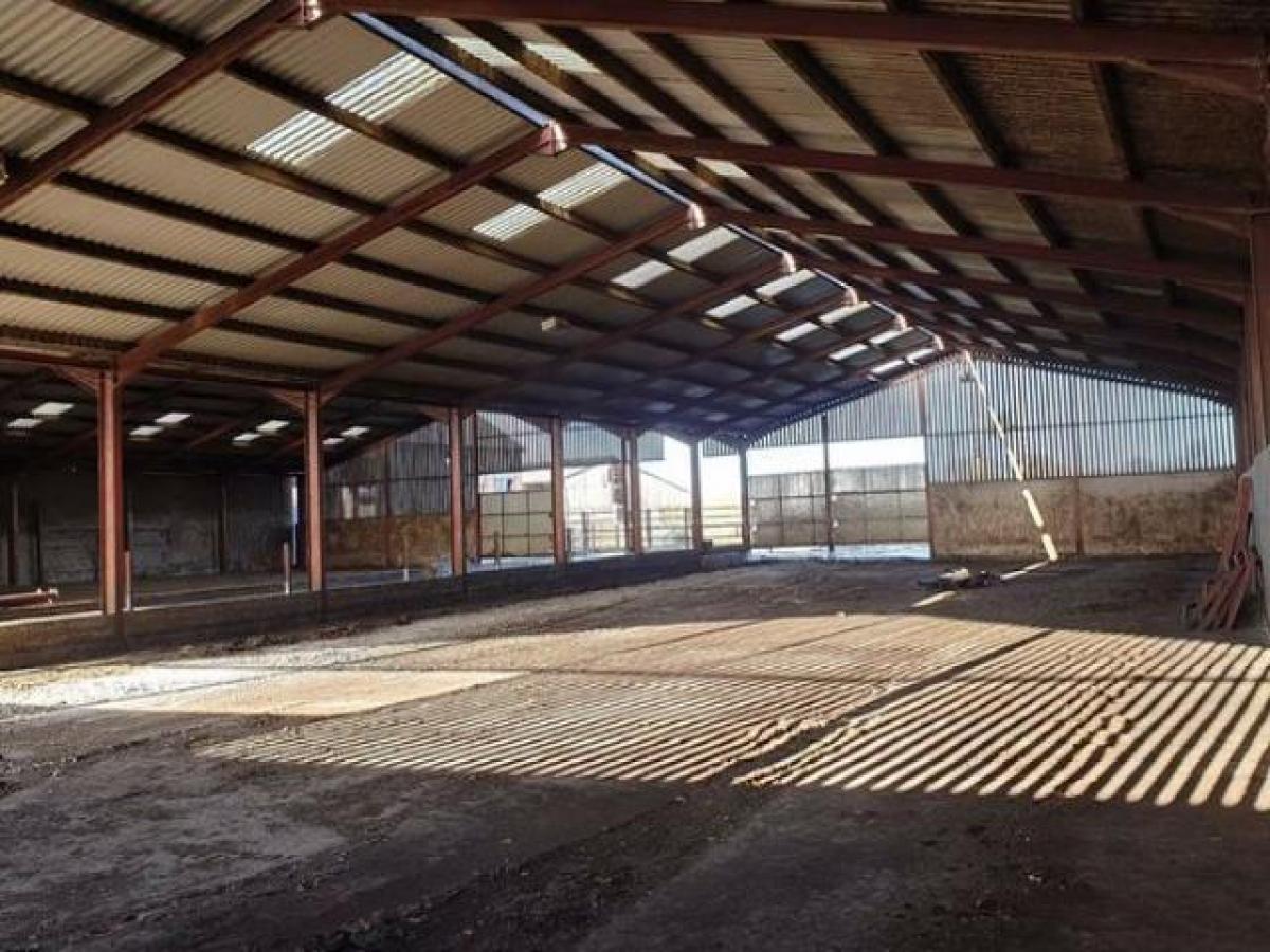 Picture of Industrial For Rent in Whitchurch, Hampshire, United Kingdom