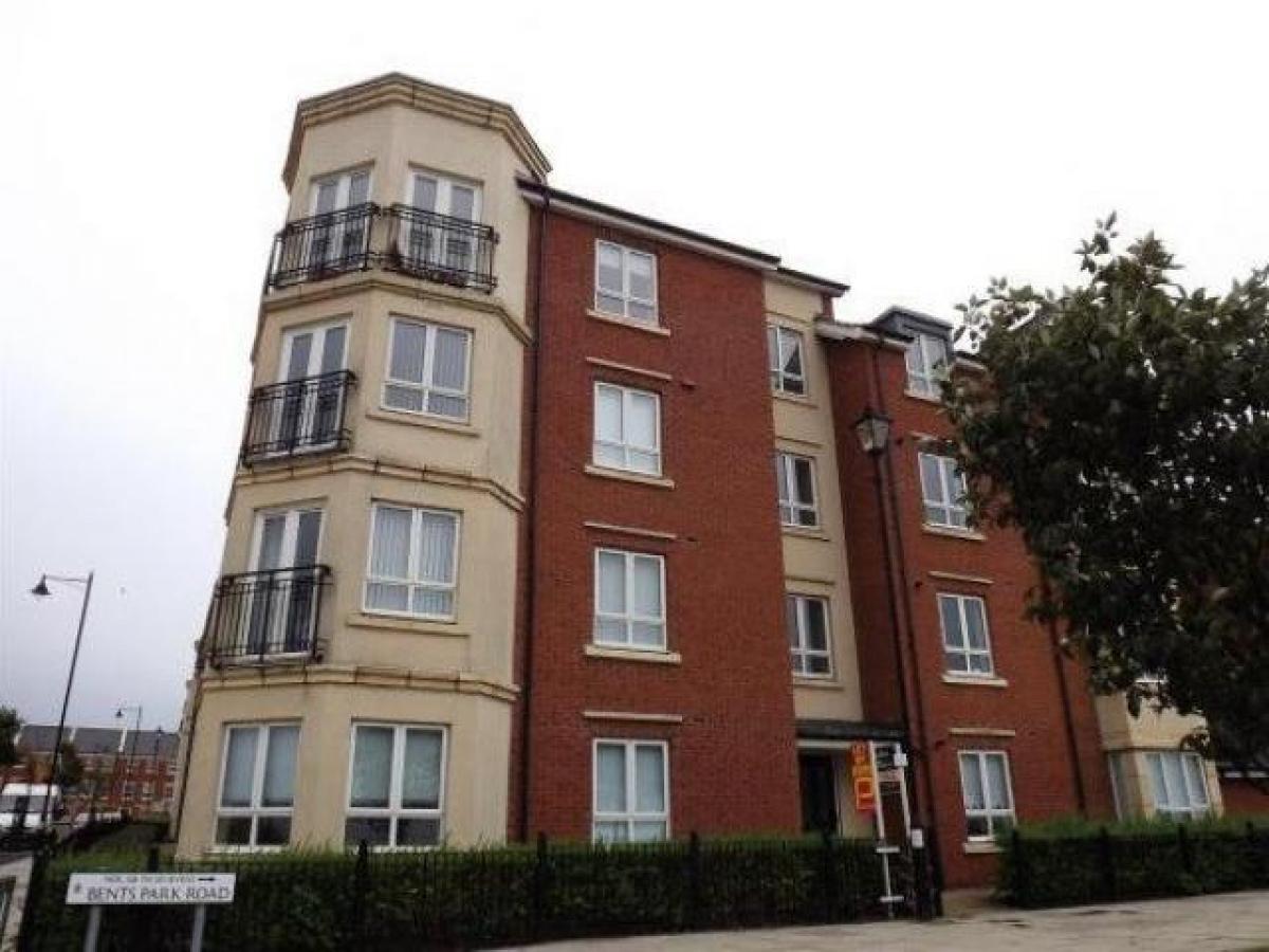 Picture of Apartment For Rent in South Shields, Tyne and Wear, United Kingdom