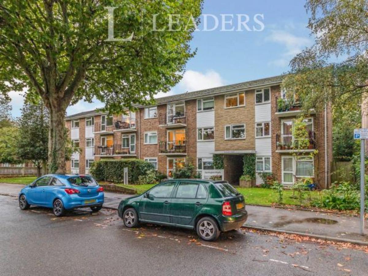 Picture of Apartment For Rent in Surbiton, Greater London, United Kingdom