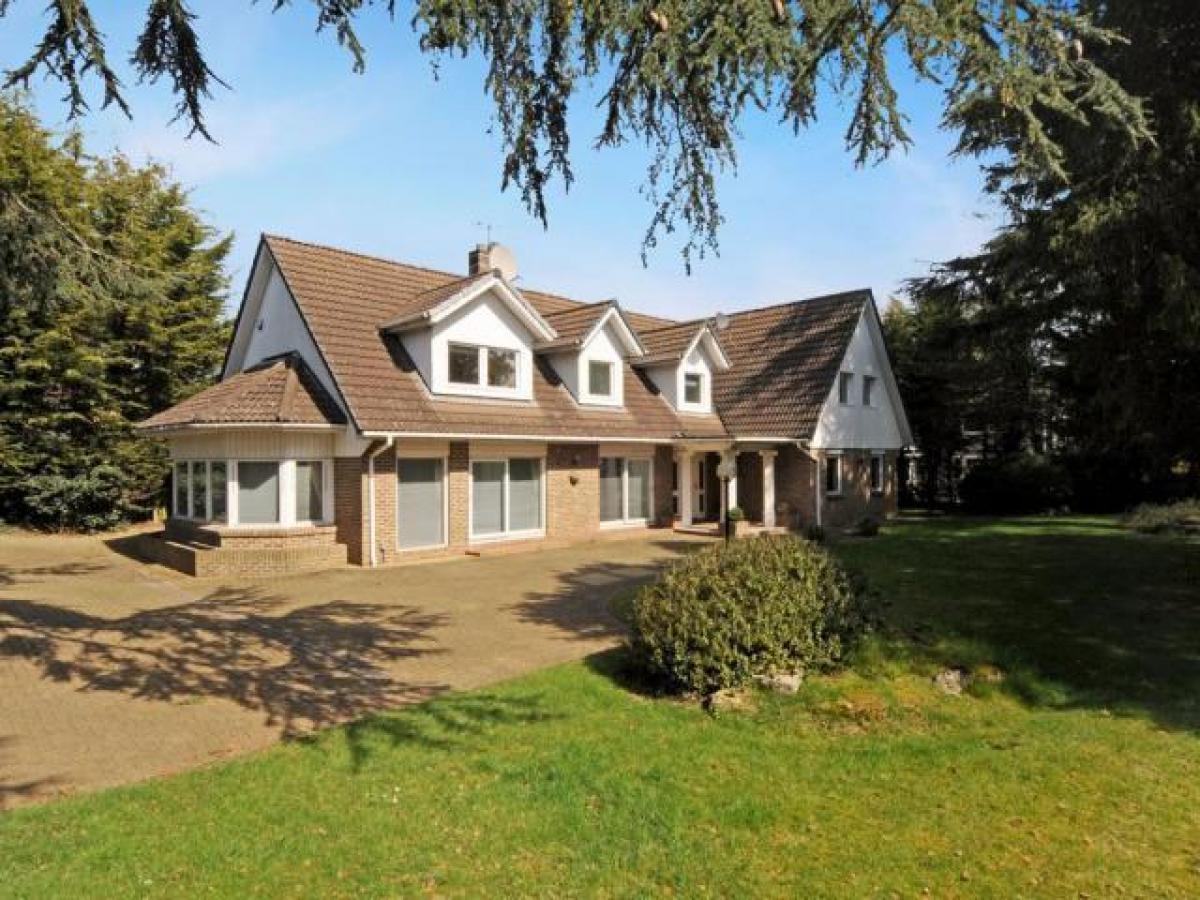 Picture of Home For Rent in Kingston upon Thames, Greater London, United Kingdom