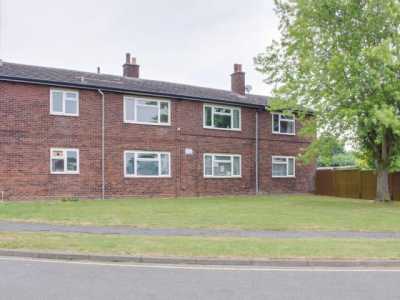 Apartment For Rent in 