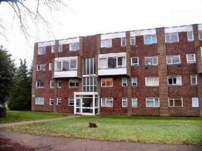Apartment For Rent in Woking, United Kingdom