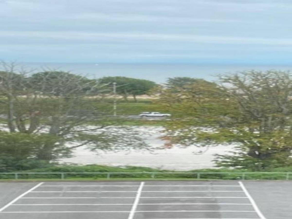 Picture of Home For Rent in Swansea, West Glamorgan, United Kingdom