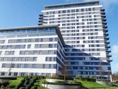 Apartment For Rent in Basingstoke, United Kingdom