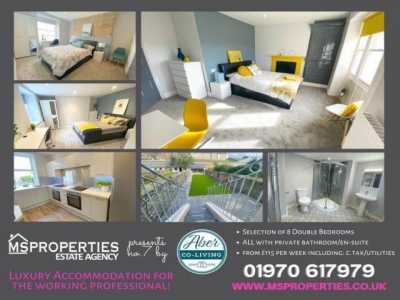 Apartment For Rent in Aberystwyth, United Kingdom